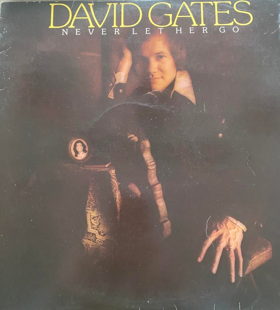 LP David Gates, Cd's en Dvd's, Ophalen of Verzenden, 12 inch