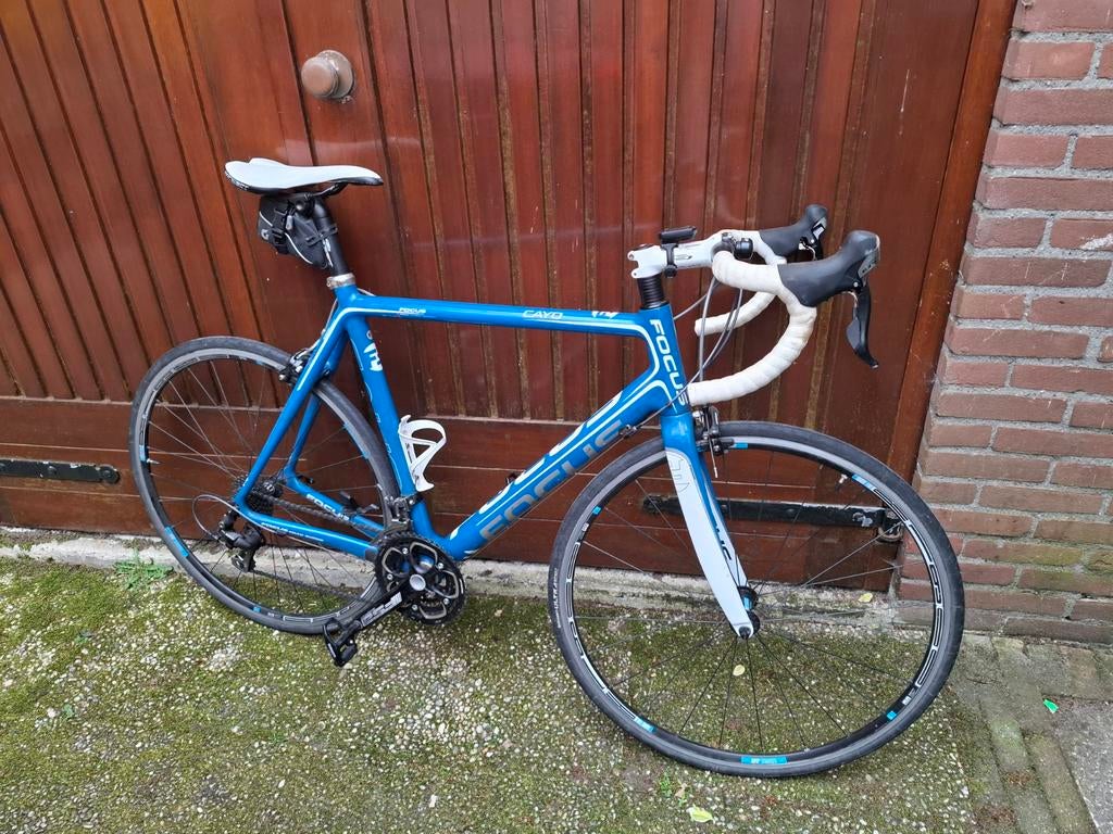 Focus Cayo racefiets, in goede staat, maat XL 58-60, Ophalen