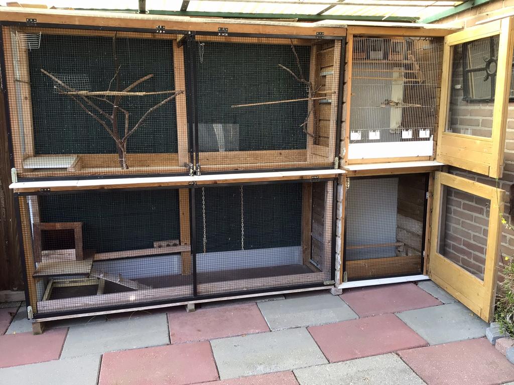 Voliere met nachthok te koop, Dieren en Toebehoren, Vogels | Hokken en Kooien, Ophalen, Gebruikt, Hout, Volière