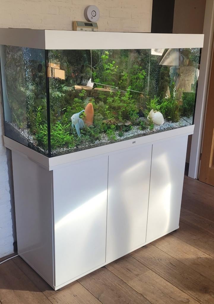 Juwel Rio 350 + Oase BioMaster Thermo 600 + Helialux Control, Ophalen of Verzenden, Zo goed als nieuw, Gevuld zoetwateraquarium