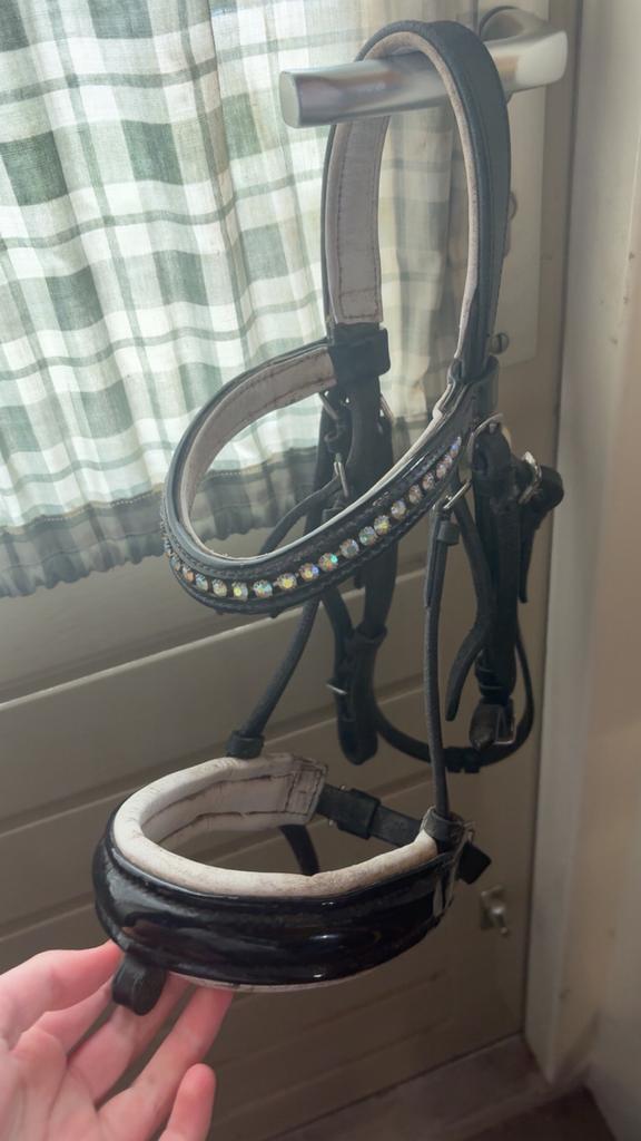 Hoofdstel, Ophalen of Verzenden, Gebruikt, Overige soorten