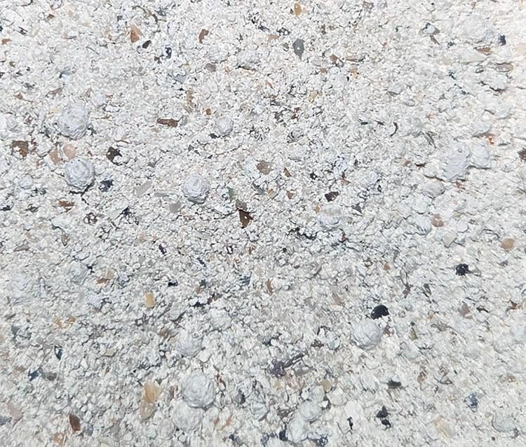 Calcium triple boost voor isopods, ongewervelden, reptielen, Overige soorten