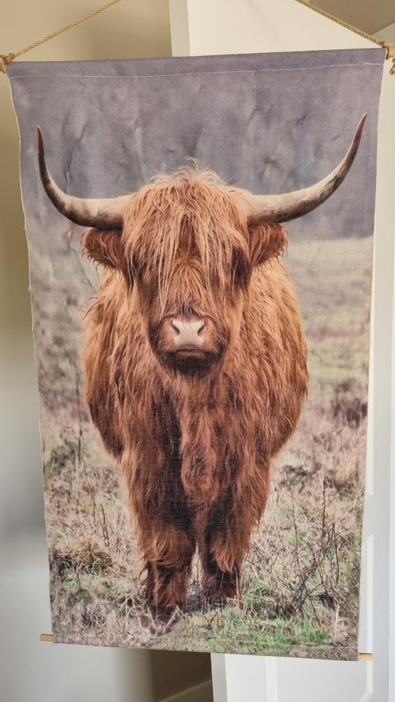 Wandkleed Schotse Hooglander met verlichting, Ophalen of Verzenden, Zo goed als nieuw