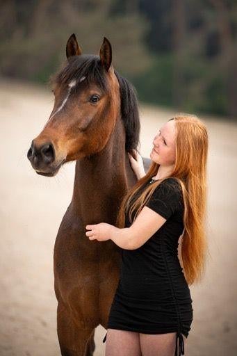 Liefste D pony te koop, Dieren en Toebehoren, Pony's, Ruin