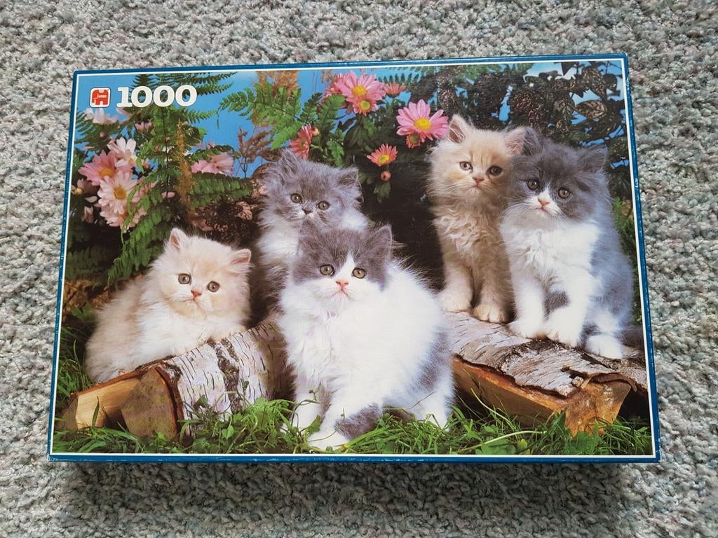 Jumbo puzzel legpuzzel 1000 stukjes Poezen nieuw, Ophalen of Verzenden, 500 t/m 1500 stukjes, Nieuw, Legpuzzel