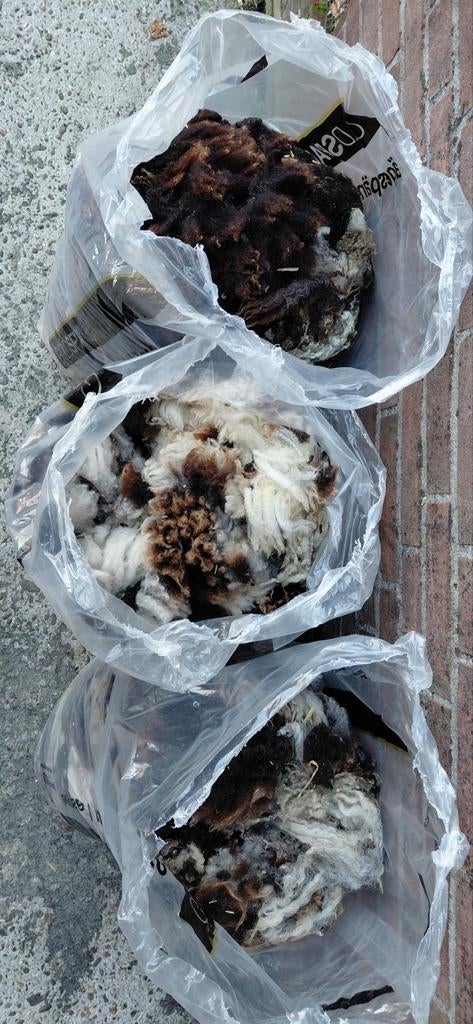 Schapenwol, Hobby en Vrije tijd, Ophalen of Verzenden, Spinwol