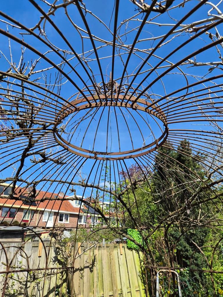 Metalen prieel 330cm diameter - Ideaal voor klimplanten, Ophalen, Gebruikt, Tuinpaviljoen