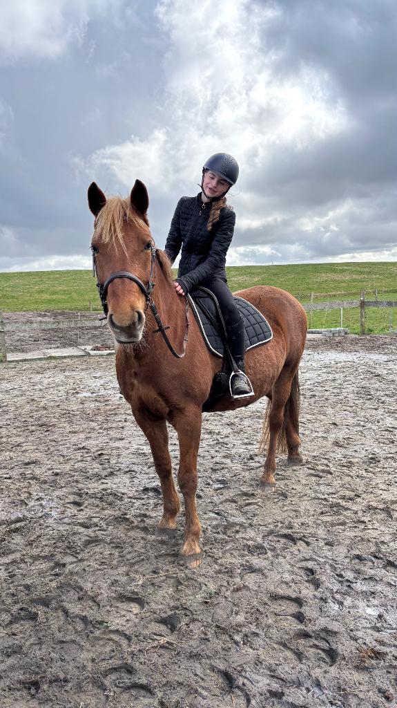 2 Verzorgponys gezocht / 2 bijrijders aangeboden, Ophalen of Verzenden