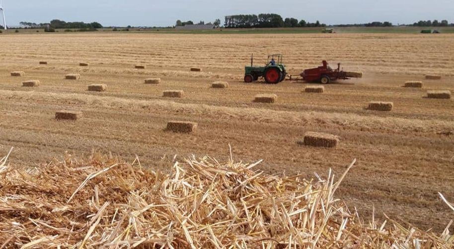 Strobalen te koop - Ideaal voor veevoer of bodembedekking, Ophalen of Verzenden