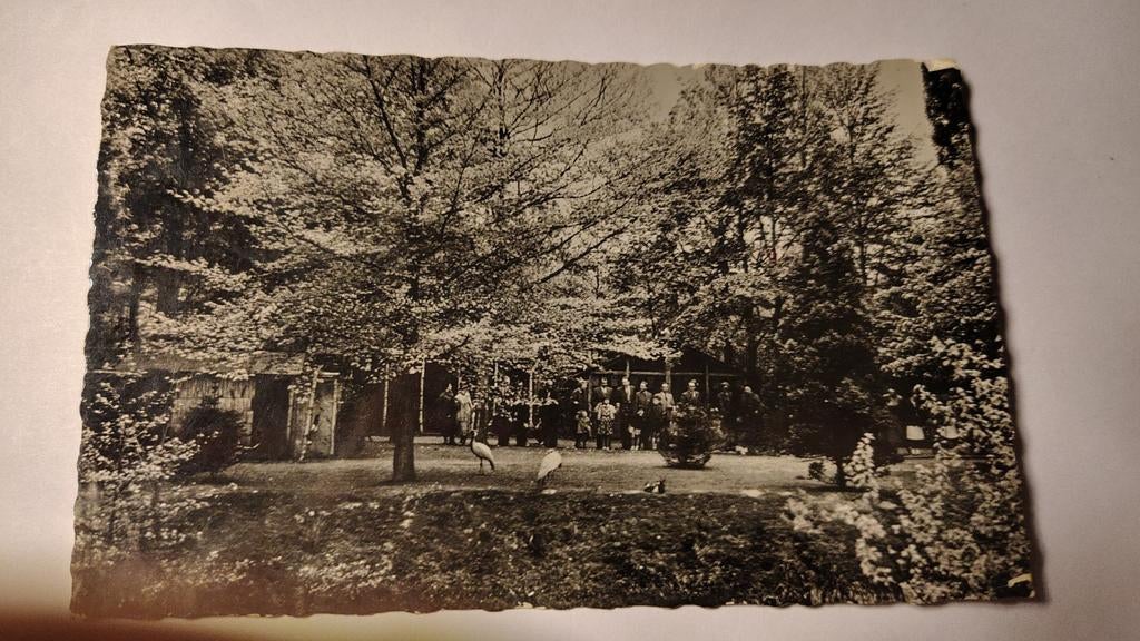 Brunssum Vogelpark, Ophalen of Verzenden