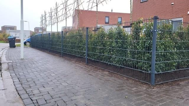 62.5 meter dubbelstaafmat hekwerk 8-6-8, H=120 centimeter!, Ophalen, S, Nieuw, Dubbelstaafmat hekwerk