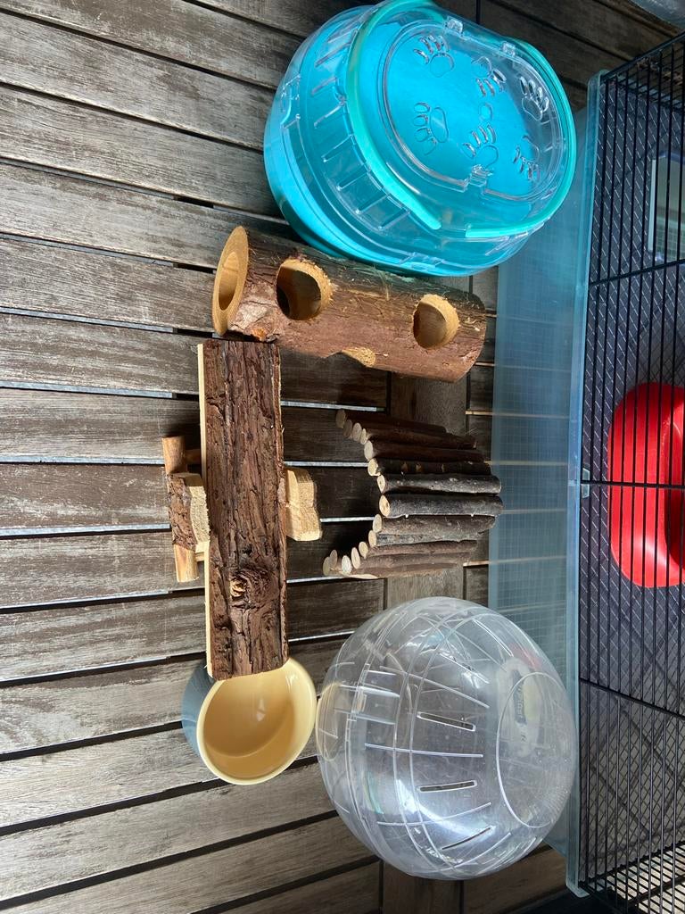 Knaagdieren hok, Minder dan 75 cm, Zo goed als nieuw, Ophalen, Minder dan 60 cm