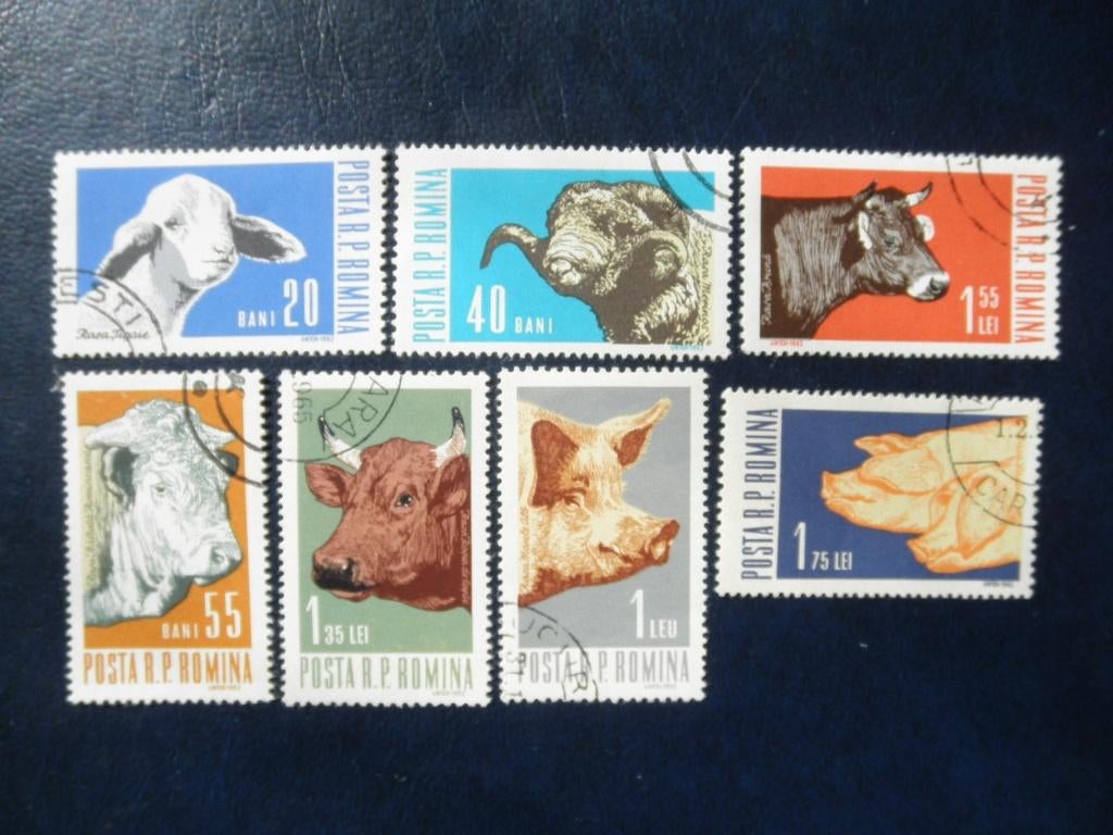 Postzegels dieren Roemenië 1962 schapen, koeien, varkens., Ophalen of Verzenden, Gestempeld, Dier of Natuur