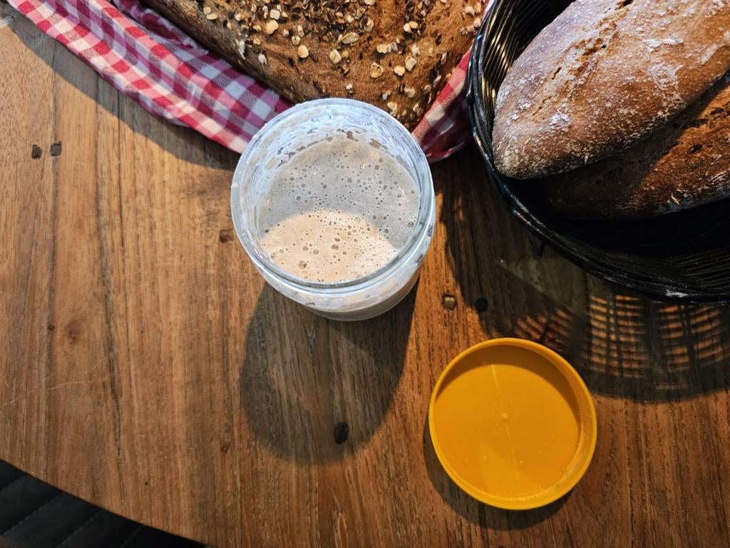 Zuurdesem starter, Ophalen