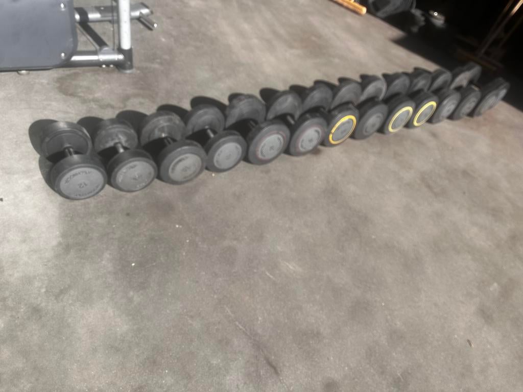 Technogym Dumbells 12kg t/m 40kg, Ophalen, Gebruikt, Dumbbell