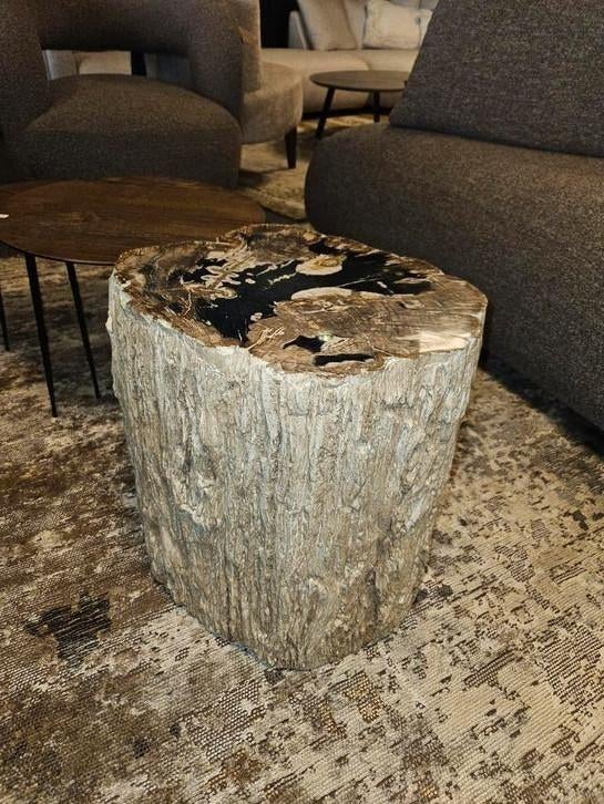 Salontafel bijzettafel versteend hout patrified wood, 50 tot 100 cm, Nieuw, Minder dan 50 cm, 50 tot 100 cm