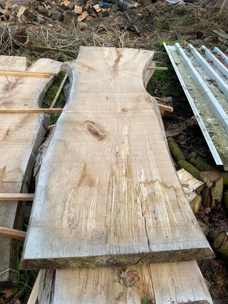 Beukenhouten schaaldelen, Ophalen of Verzenden, Zo goed als nieuw, 250 cm of meer, Planken