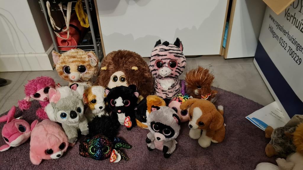 Ty Beanie Boo Collectie, Ophalen of Verzenden, Zo goed als nieuw, Overige typen