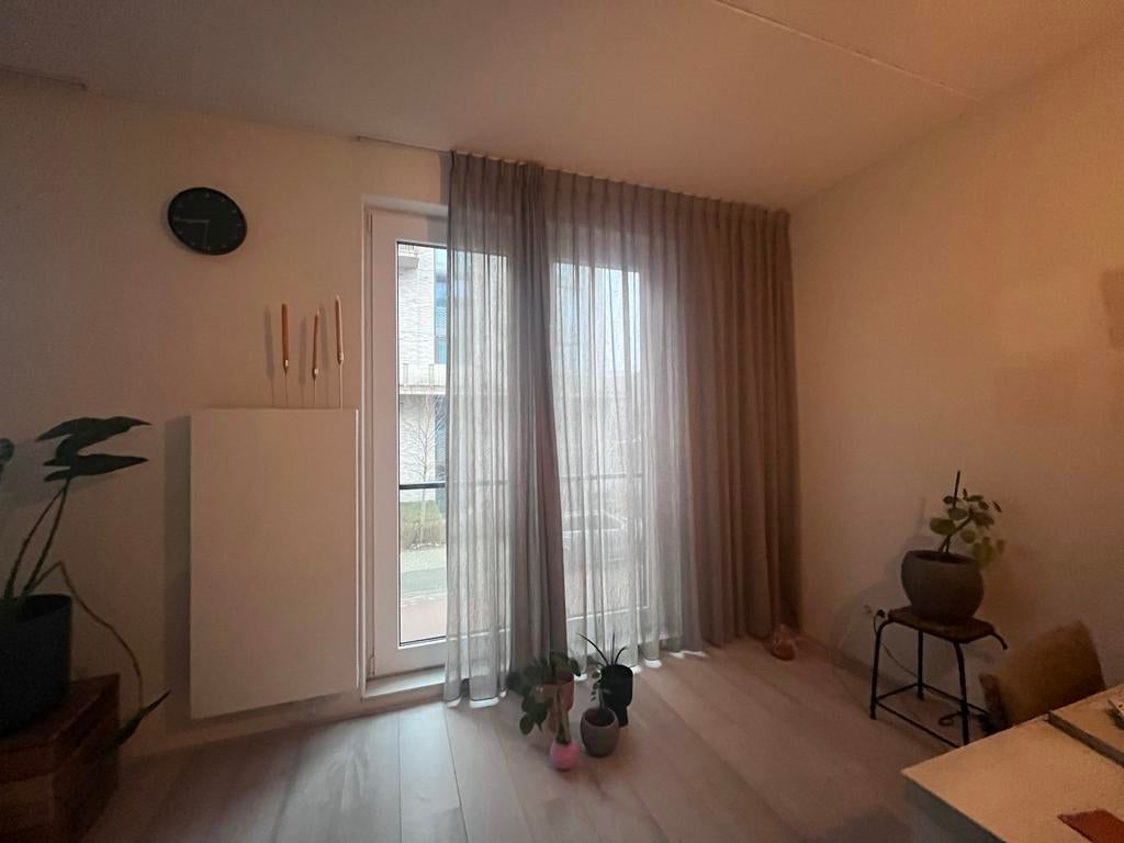 Gordijnen Kwantum Olivier Grijs - Dubbele Plooi, Ophalen, Gebruikt, Grijs, 200 cm of meer