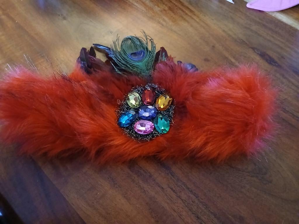 Nwhoofdband vastelaovend/carnaval. Thetru Gemêleerd rood., Ophalen of Verzenden, Nieuw, Carnaval, Accessoires