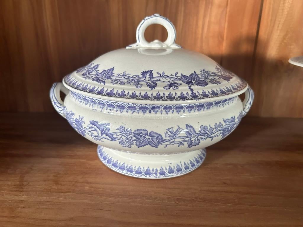 Geranium dekschalen paars, Ophalen of Verzenden