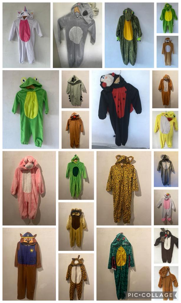 Carnavalskleding/verkleedkleding kind dierpak/dierenonesie, Ophalen of Verzenden, Zo goed als nieuw, 122 t/m 128, Jongen of Meisje
