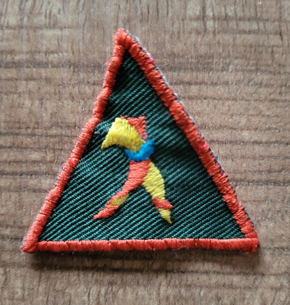 Scouting Insigne Badge jaren 90-10, Ophalen of Verzenden, Gebruikt, Embleem, Speld of Insigne