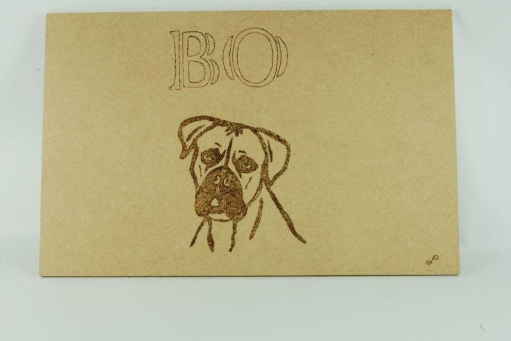 Houtbrander voor hobby Regelbaar van 450 tot 750 C, Verzenden, Nieuw, Gereedschap of Toebehoren