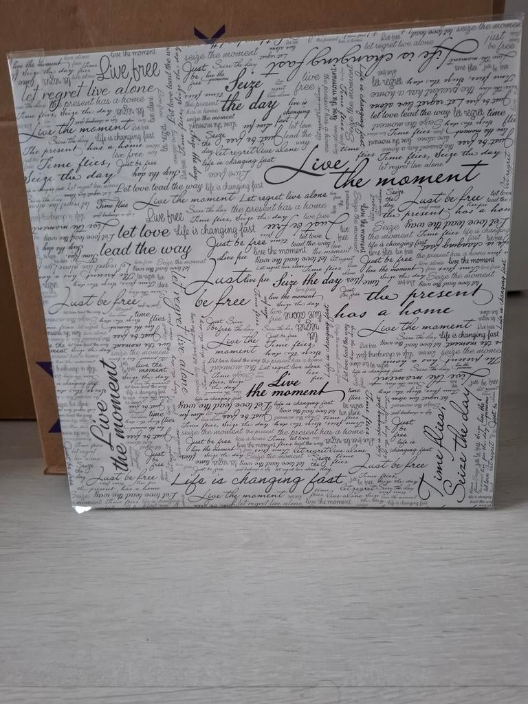 JDX feat Sarah Maria - live the moment 2025 remastered vinyl, Cd's en Dvd's, Vinyl | Dance en House, Ophalen of Verzenden, Nieuw in verpakking