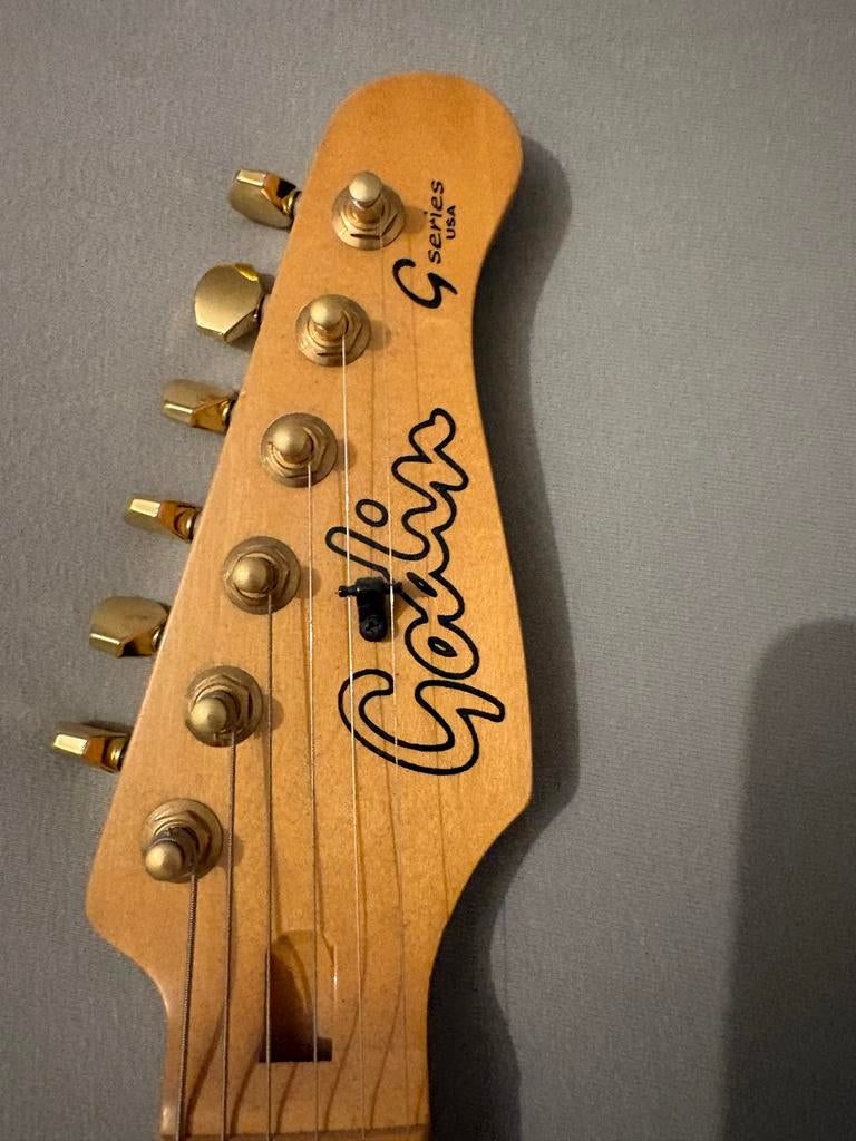 Godin G Serie Elektrische Gitaar, Muziek en Instrumenten, Snaarinstrumenten | Gitaren | Elektrisch, Ophalen of Verzenden, Gebruikt
