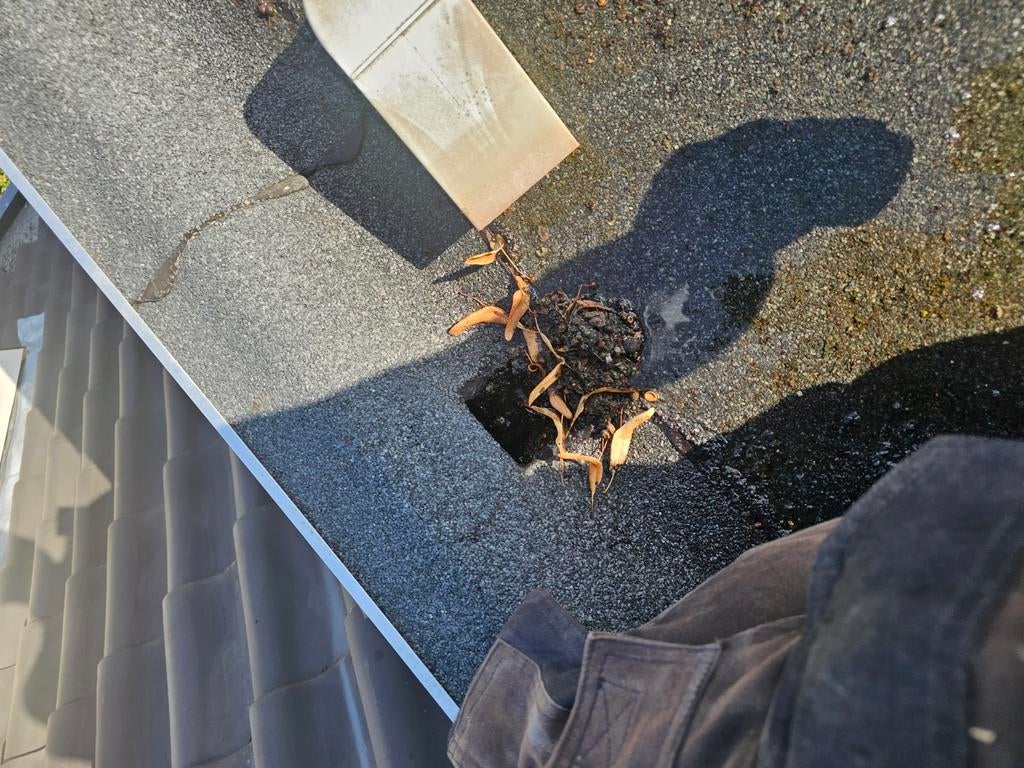 Dakgoot Reinigen alles onder een dak dakdekkersbedrijf, Diensten en Vakmensen, Dakdekkers en Rietdekkers, 24-uursservice, Riet