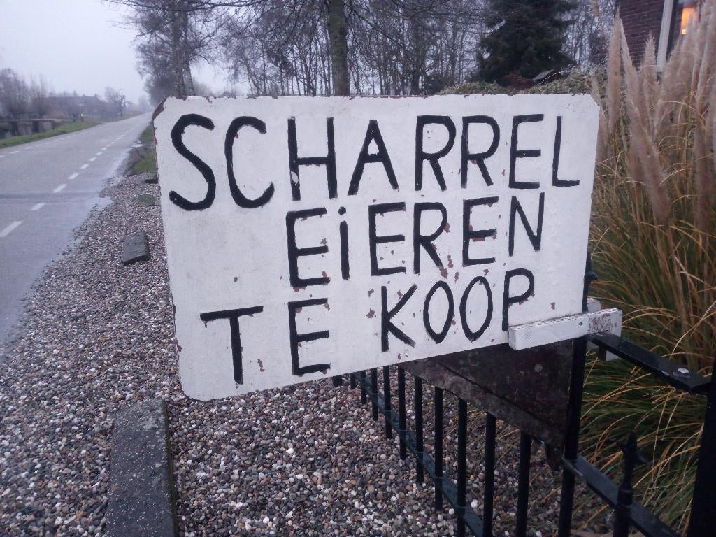 scharreleieren, Ophalen