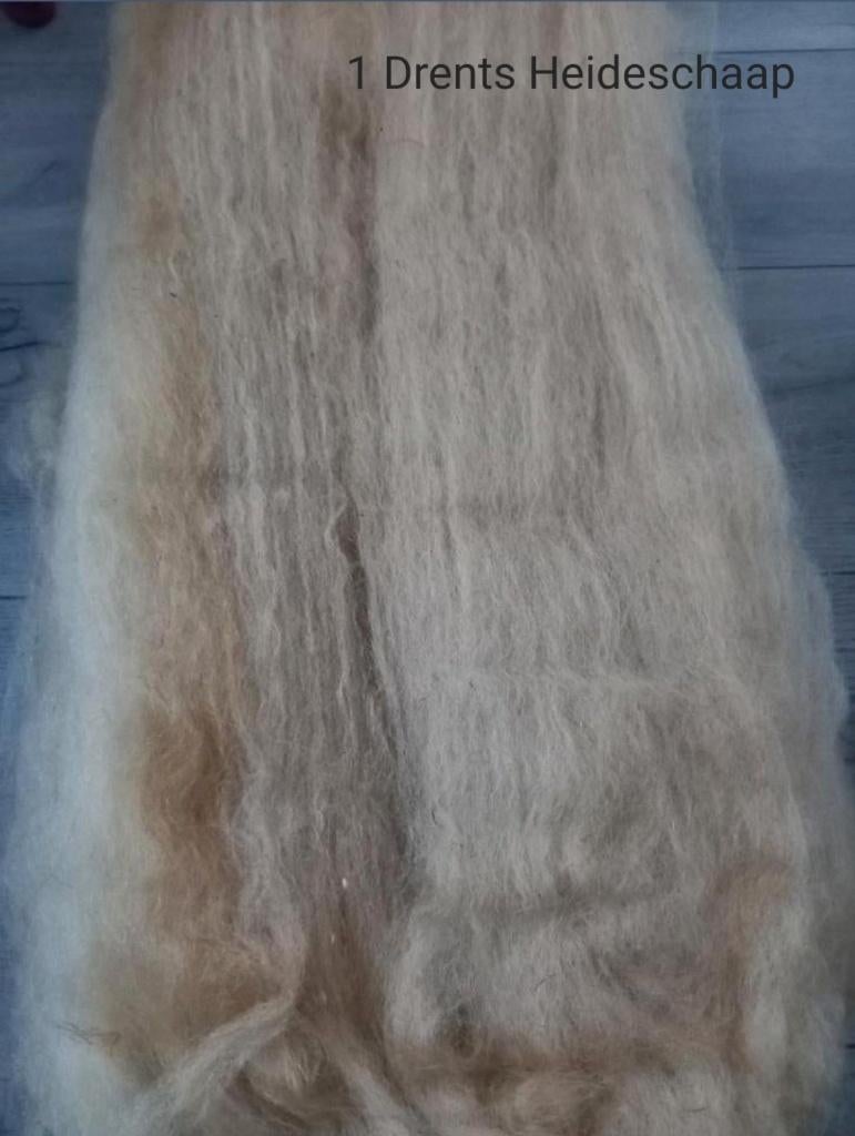 nr 1 Gekaarde wol van een Drents Heideschaap, Ophalen of Verzenden, Nieuw