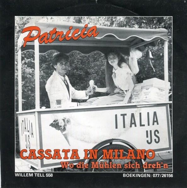 Vinylsingle patricia gezocht, Ophalen of Verzenden, Zo goed als nieuw, Overige formaten, Levenslied of Smartlap