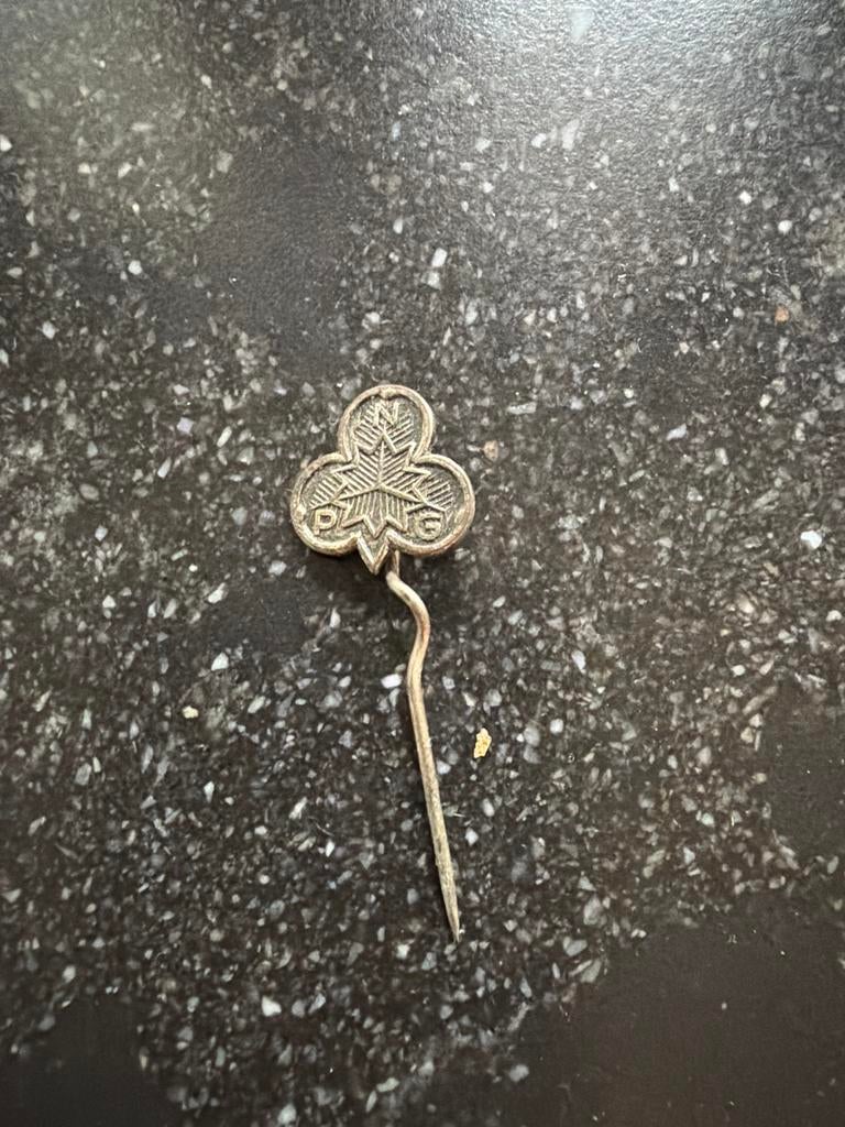 Pin Padvinderij Nederlandsche Padvinders Gilde, Verzamelen, Ophalen of Verzenden, Gebruikt, Embleem, Speld of Insigne