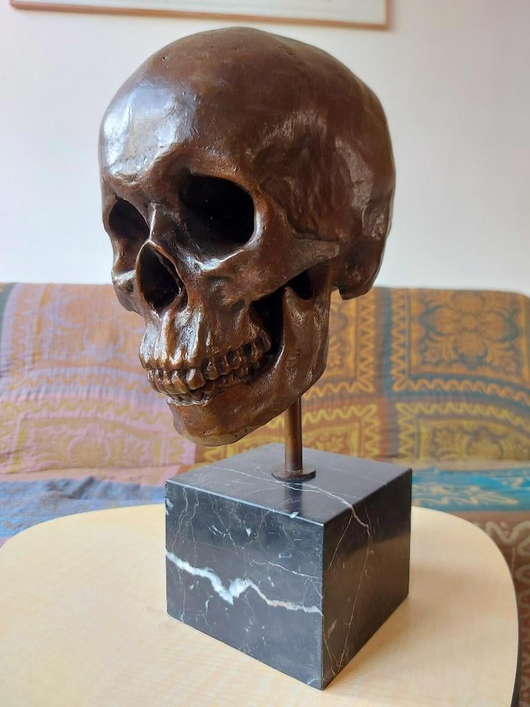 Prachtig Zwaar Bronzen Beeld Schedel Skull, Ophalen of Verzenden