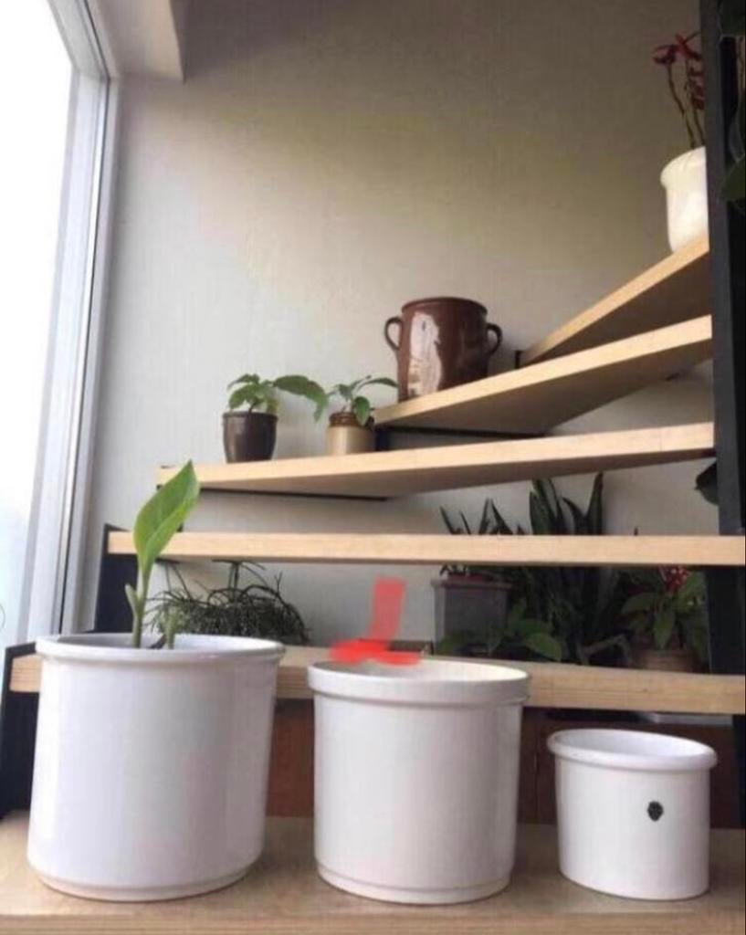 Vintage jaren’60 bloempotten DELFTS WIT diverse, Tuin en Terras, Bloempotten, 25 tot 40 cm, Binnen, Ophalen of Verzenden, Zo goed als nieuw