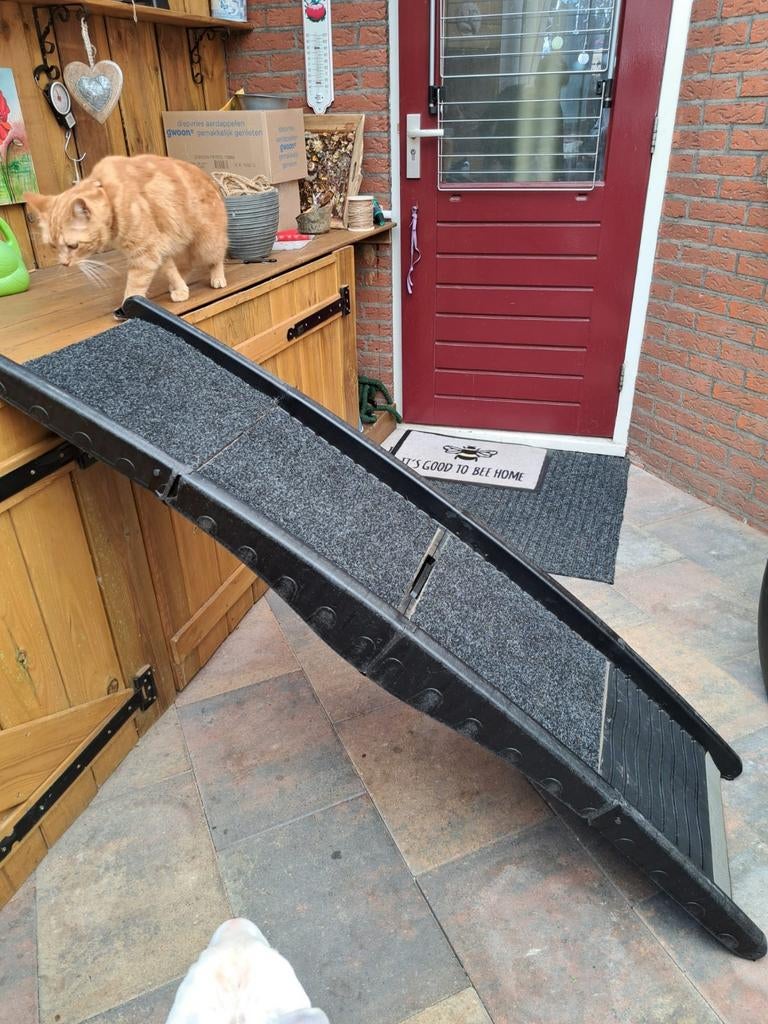 Auto loopplank voor honden tot 40kg., Ophalen, Gebruikt