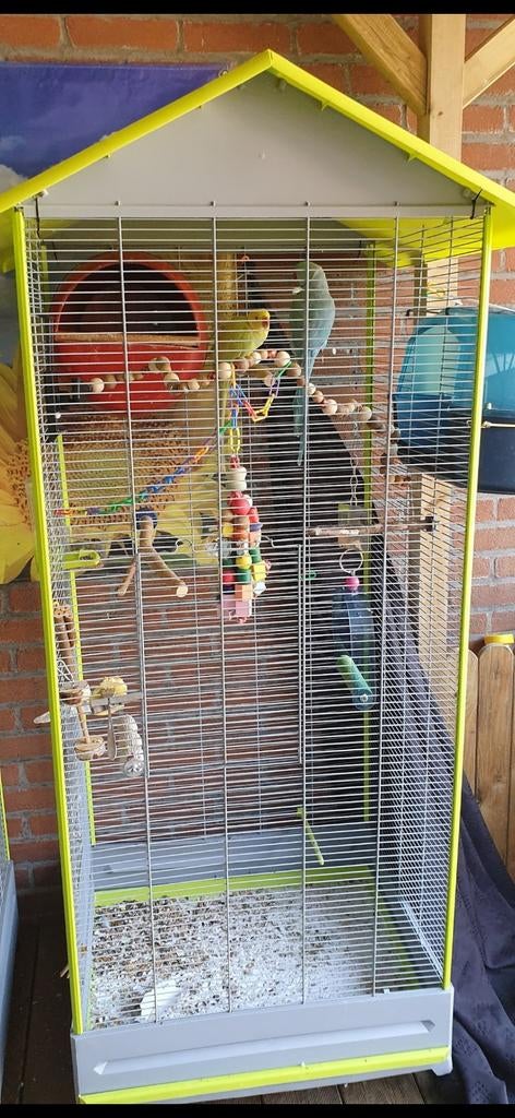 Volière 2x, Dieren en Toebehoren, Vogels | Toebehoren, Ophalen, Overige typen