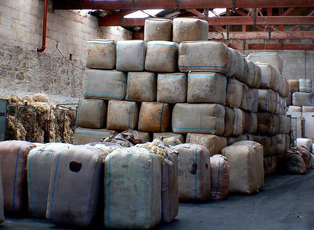 Gezocht: schapenwol wit, zwart of bont, Ophalen of Verzenden