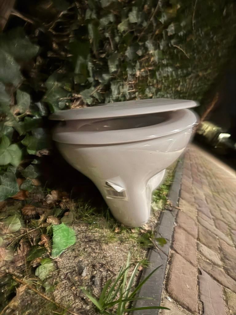 Gebruikt wandcloset met zitting, Ophalen of Verzenden, Gebruikt, Toilet