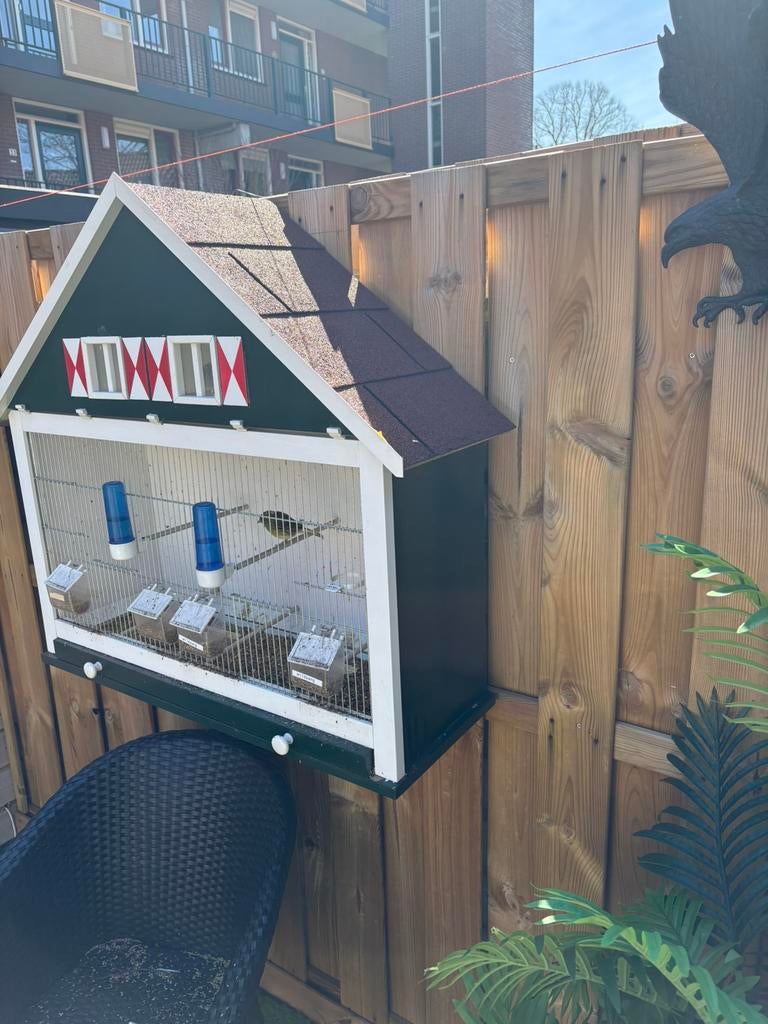 Te koop kooi met vogels, Ophalen, Gebruikt, Hout, Vogelkooi