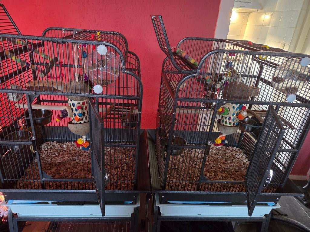 Vogelkooien 2 stuks, Dieren en Toebehoren, Vogels | Hokken en Kooien, Vogelkooi, Metaal, Ophalen