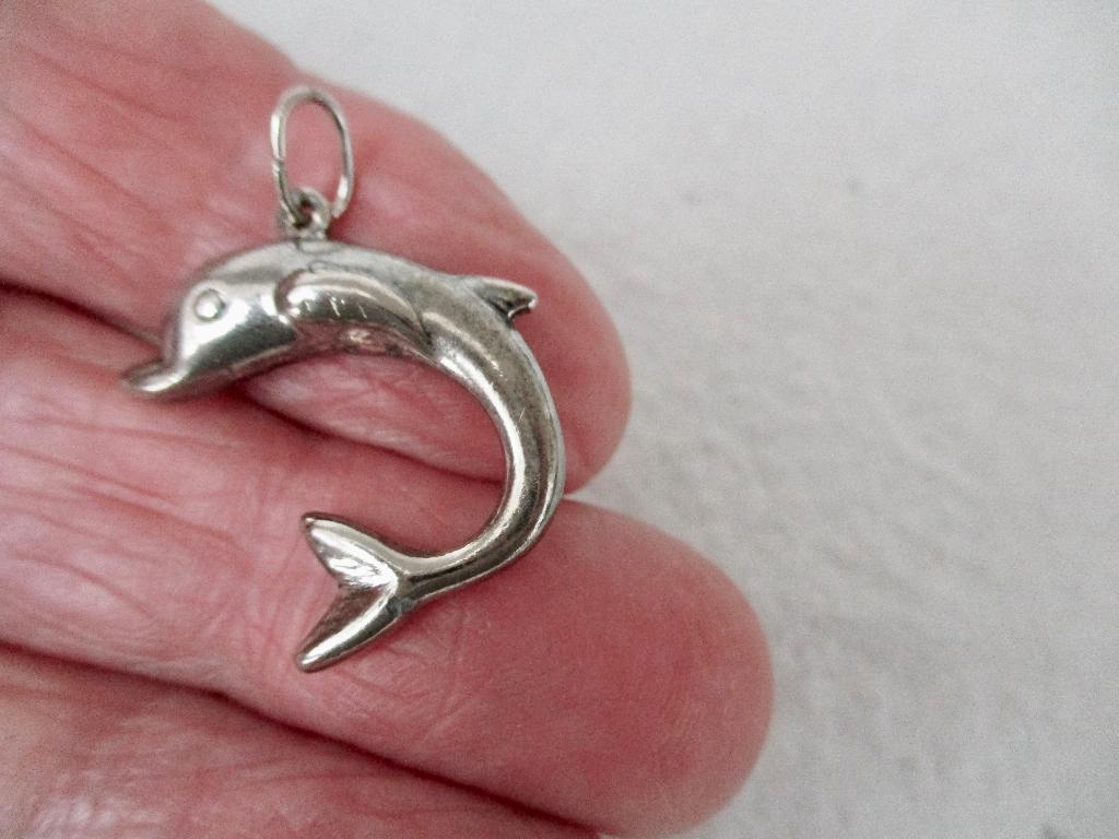 Zilverkleur hanger model DOLFIJN, Overige materialen, Verzenden, Zo goed als nieuw, Zilver