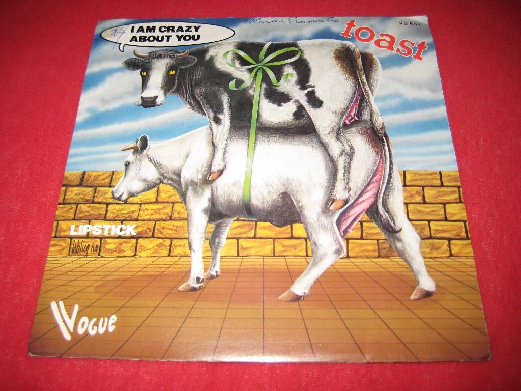 Toast; I`m crazy about you, Ophalen of Verzenden, Zo goed als nieuw, Pop, Single