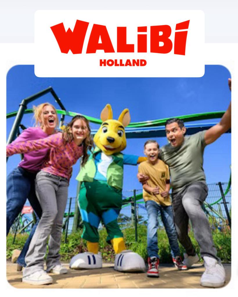 Walibi kaartjes, Ticket of Toegangskaart