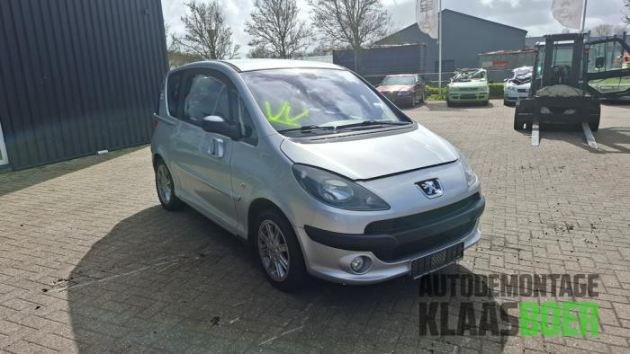 Portier 2Deurs rechts van een Peugeot 1007, Gebruikt, -, Deur, -