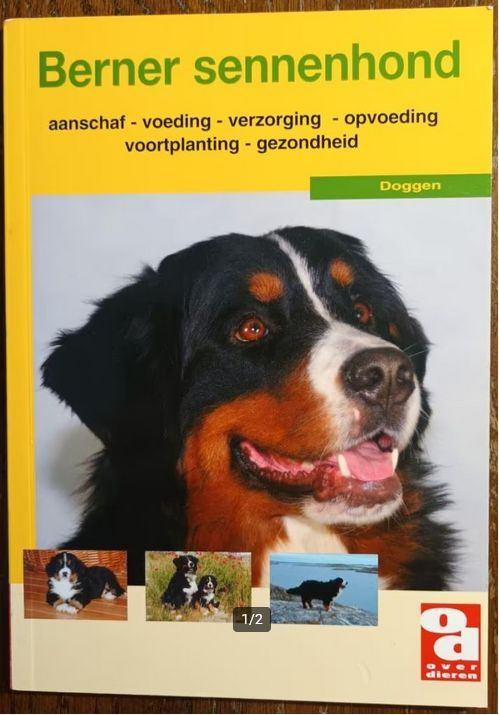 Berner sennenhond, Ophalen of Verzenden, Zo goed als nieuw, Honden