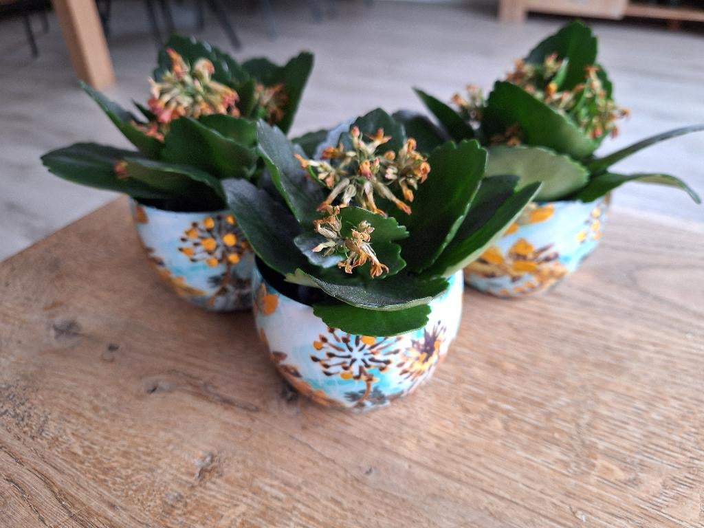 Plantenpotjes van Intratuin, Rond, Binnen, Ophalen of Verzenden, Zo goed als nieuw