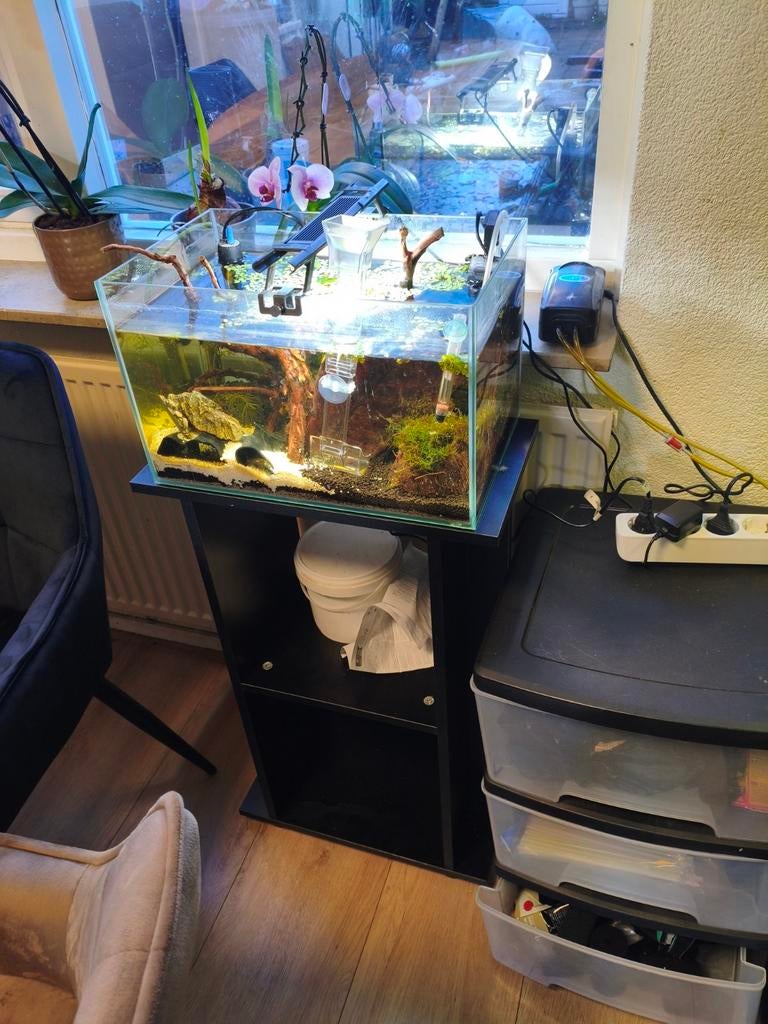 3 aquariums, Ophalen, Gevuld zoetwateraquarium
